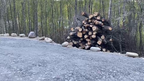 Strathgarve Felling Update