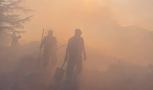 Record Wildfires Force Scotland to Rethink Fire Prevention