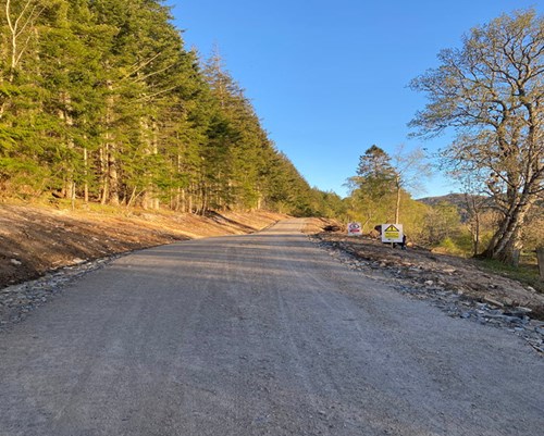 Trees, Timber and Resilience: Why Woodland Restocking Matters to the Highlands