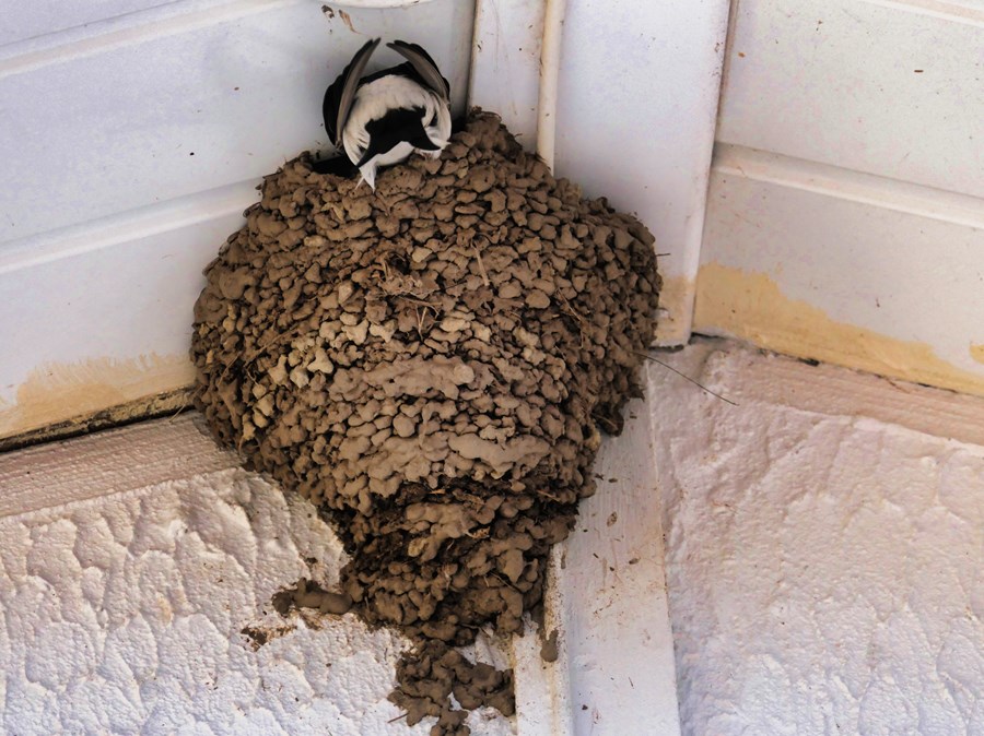 Work nearly finished