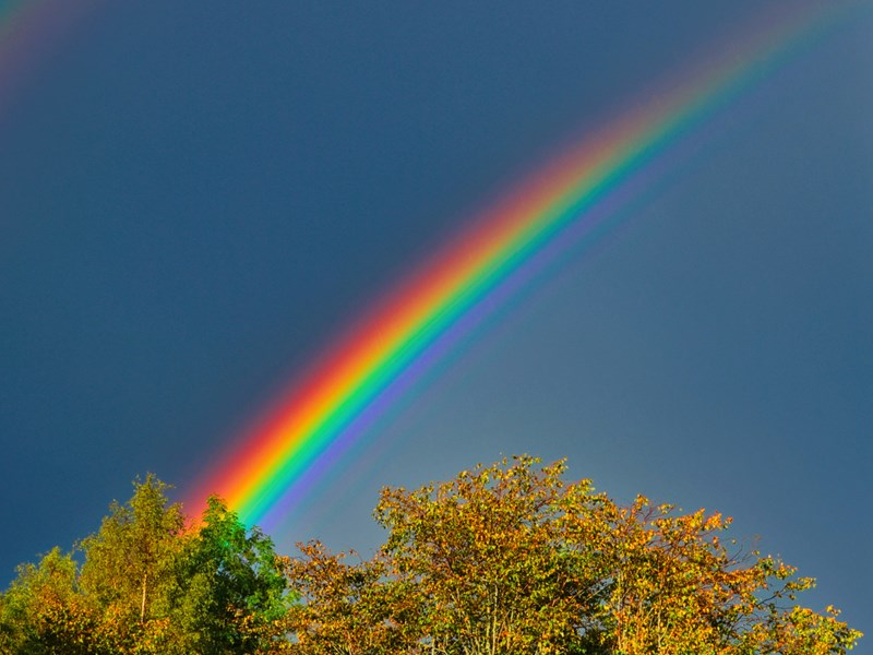 Pitcrocknie Rainbow
