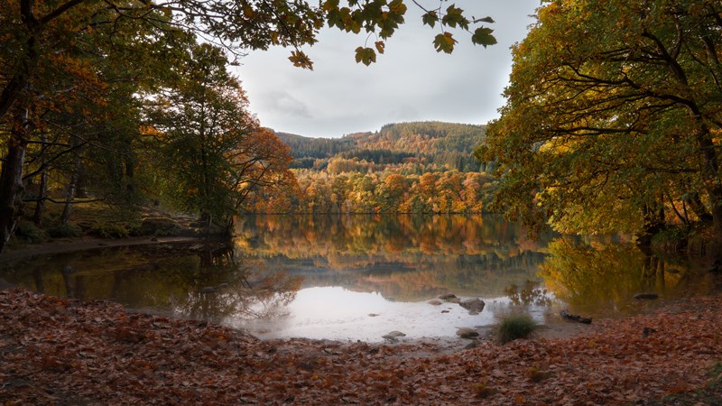 Autumnal Reflections