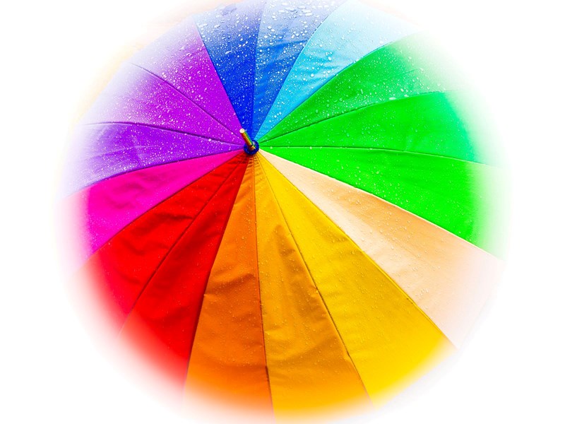 Umbrella in the Rain