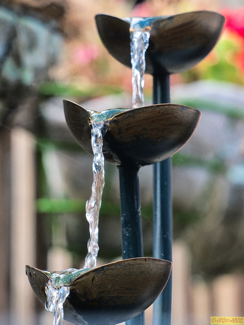Water Feature