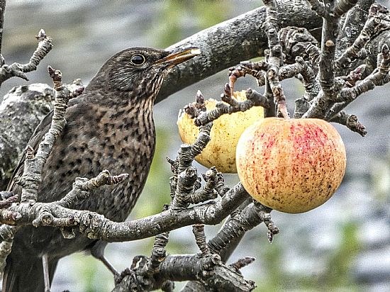 Snack time