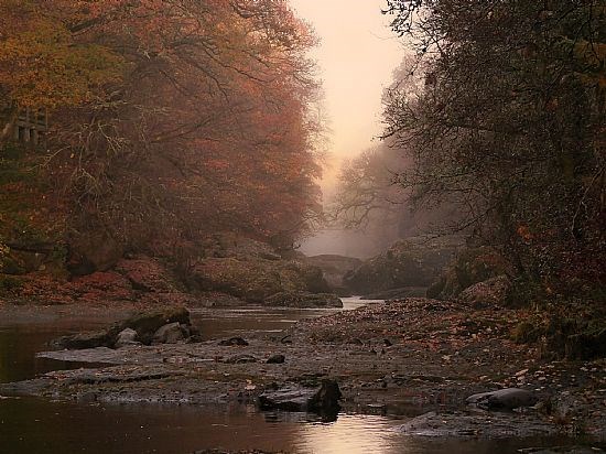 3rd Place Joint - Misty River Ericht
