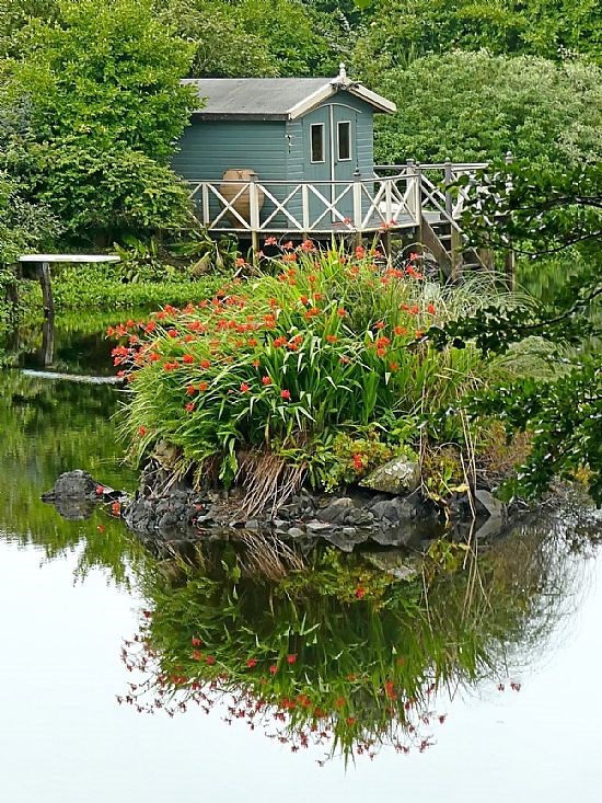 Commended - Lakeside Reflections