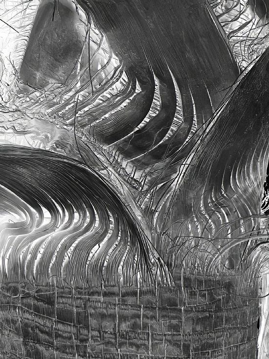 1st Place - Negative Date Palm Trunk