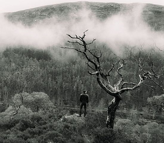 Highly Commended - The Silent Observer