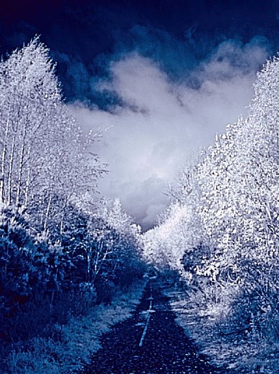 Old Road to Bailey Bridge