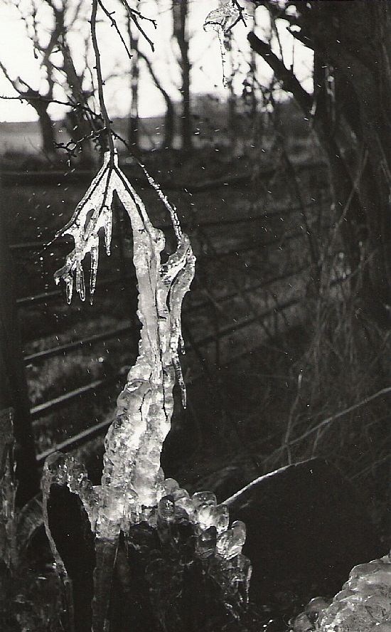 Ice Sculpture