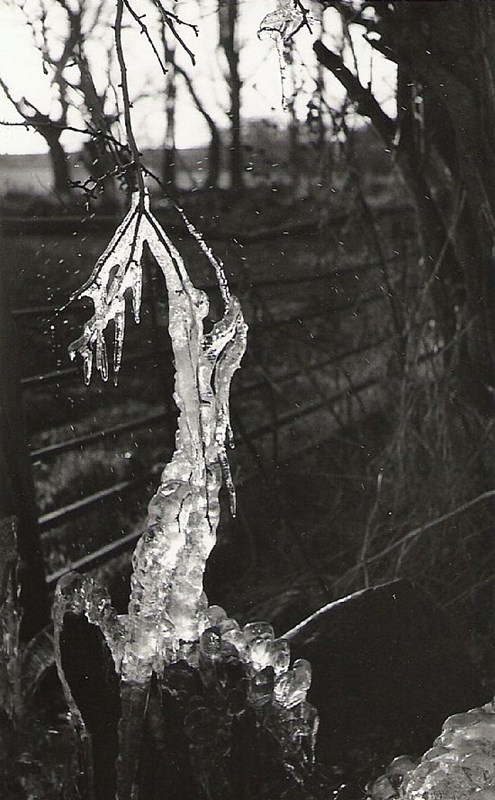 Ice Sculpture