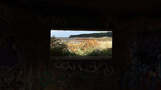 Graffiti View