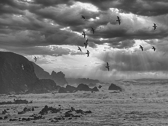 Stormy Stonehaven