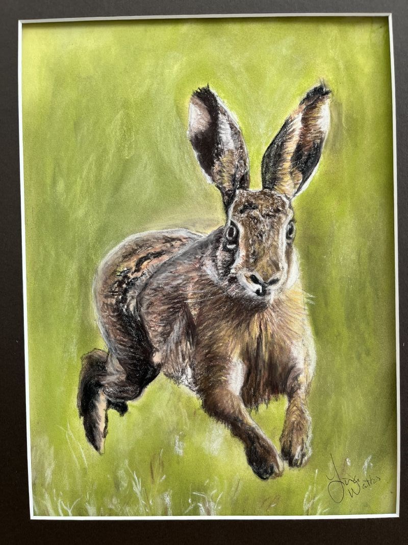 Hare in the Air