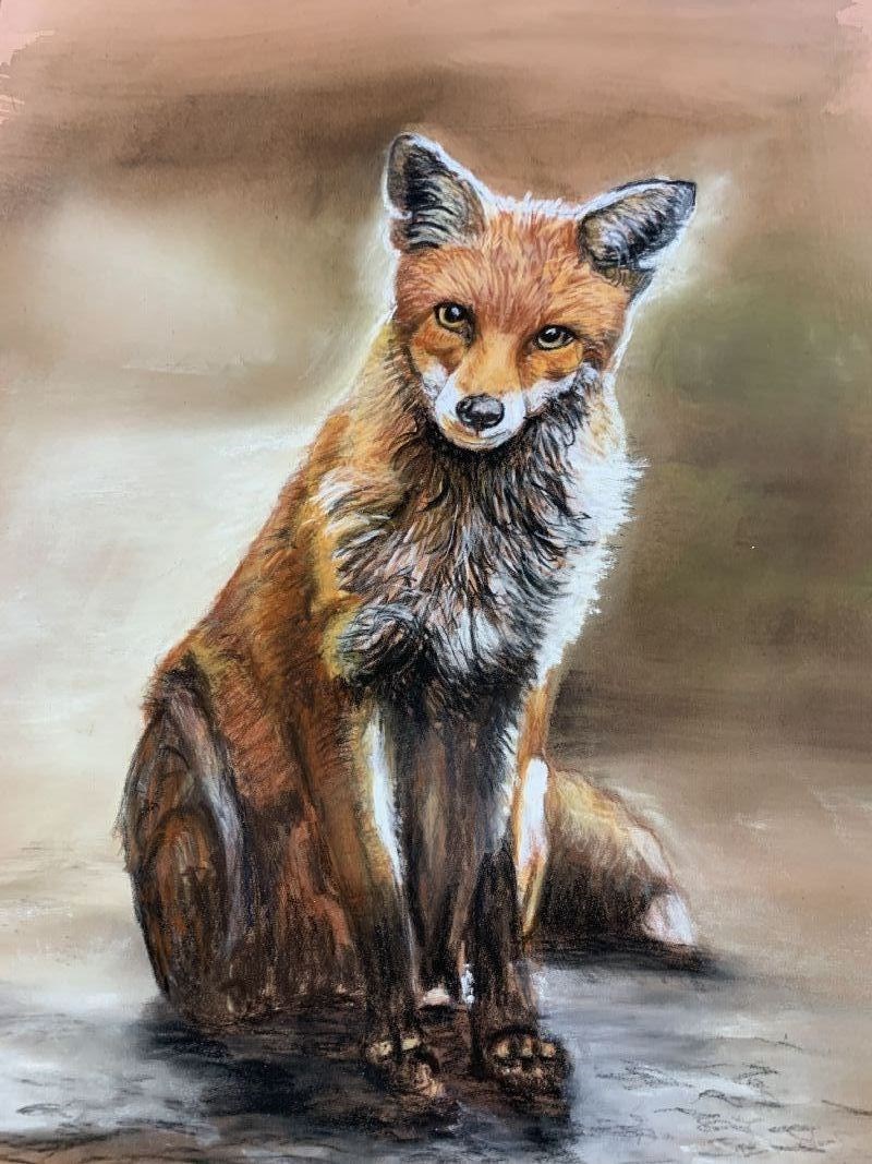 Mucky Fox