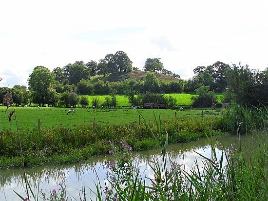 Crick