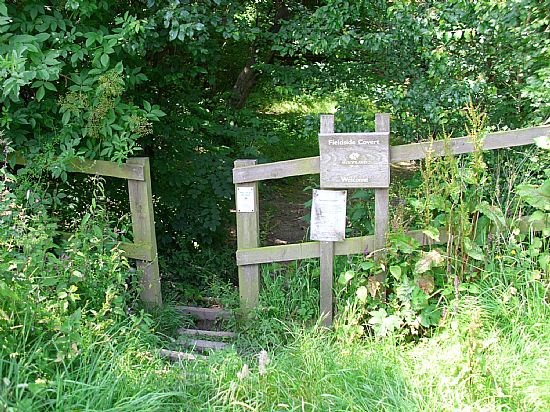 Elkington