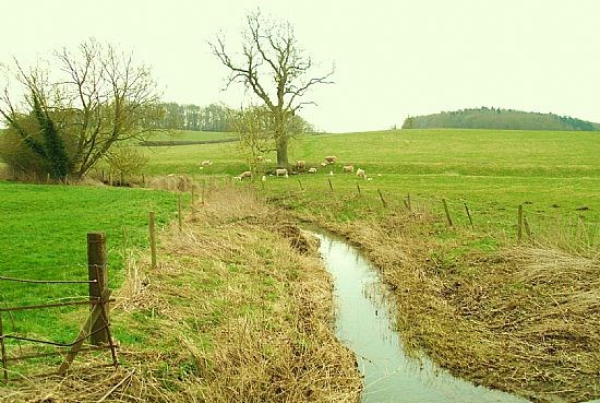 Arthingworth