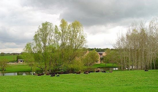 Long Buckby