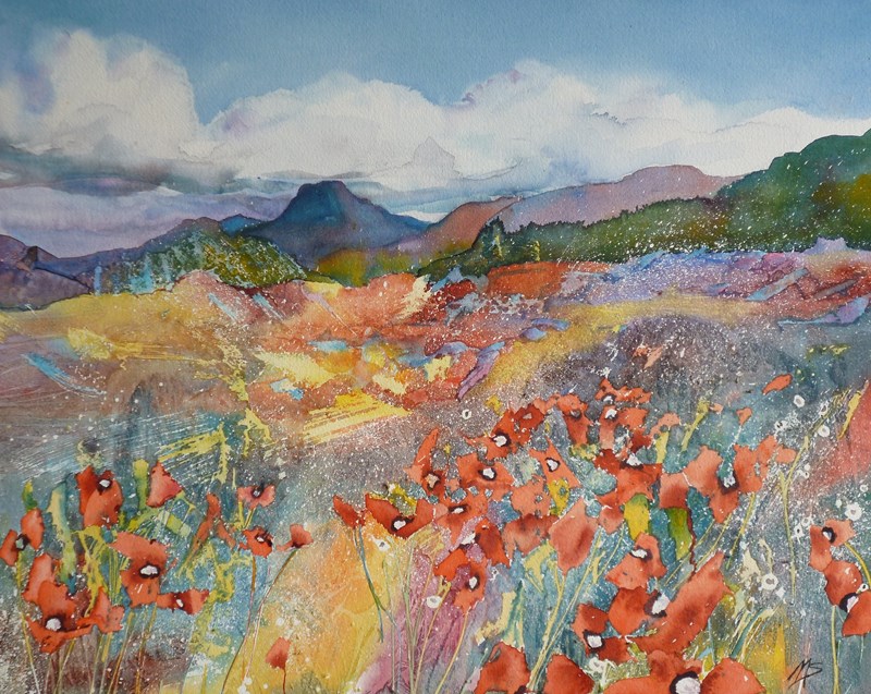 Poppies on the Moor