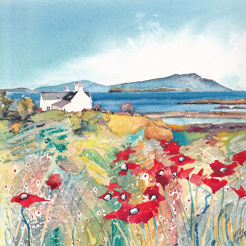 Island Poppies ~Skye