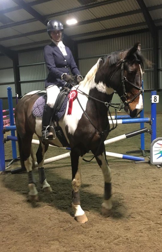 BRITISH SHOW JUMPING