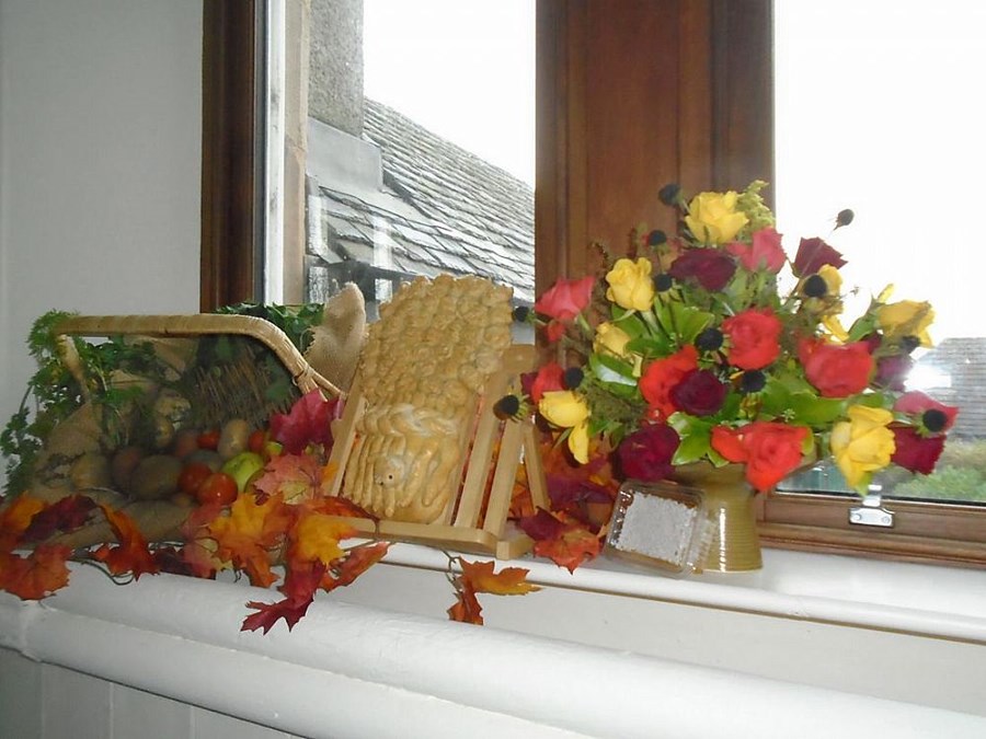 2022 11 07_Harvest_1