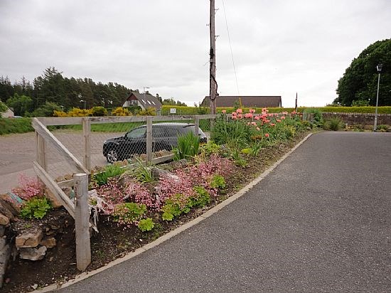 2015 07 04_Borders_1