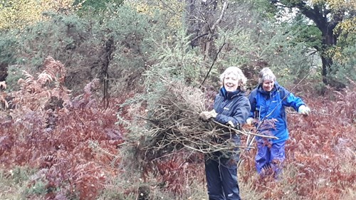 Calling all heathland habitat helpers!
