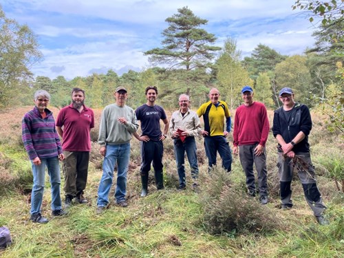 Heathland Work Days in December