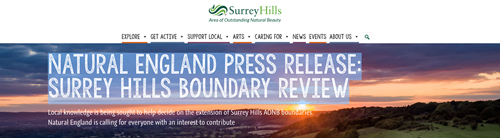 Surrey Hill Boundary Review - Your Place Your Voice
