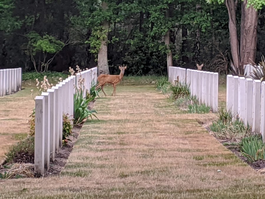 Brookwood Cemetery 