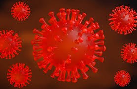 Corona Virus 2nd Lockdown