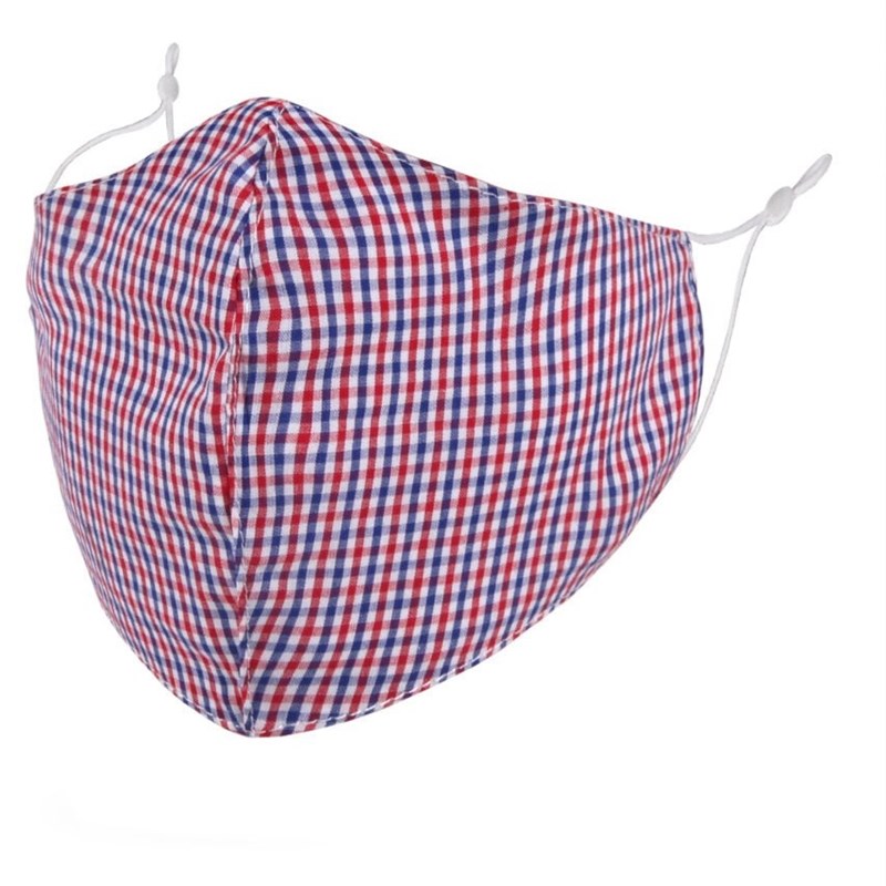 Red/blue gingham adult face mask 