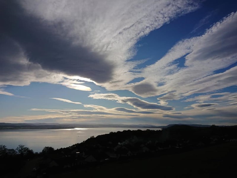 Where proactive deer control measures are required in order to protect forestry