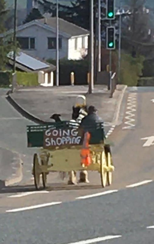 Horse and Cart
