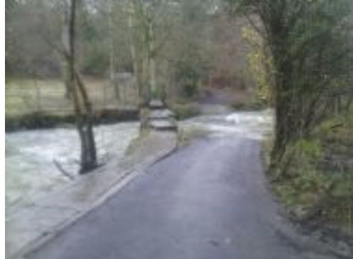 Cefn Bychan Woods - 6 miles