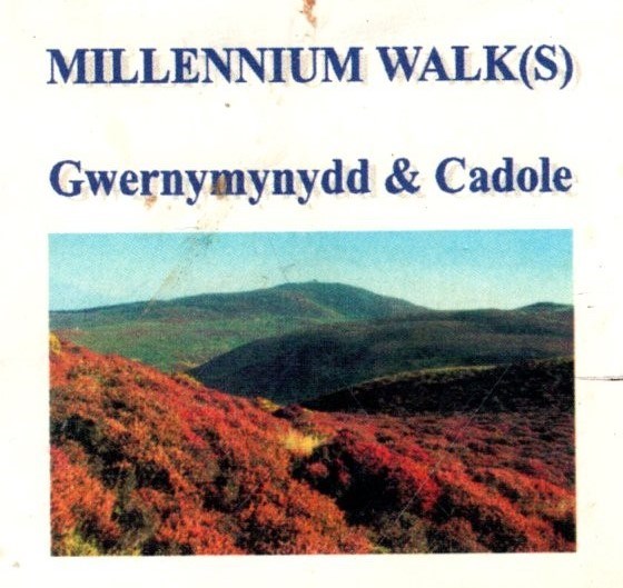 Millenium Walk Leaflet