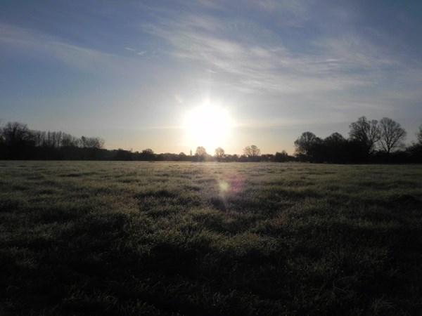 Early morning fields