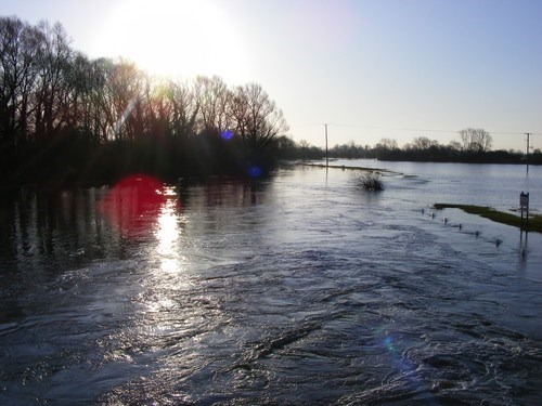 Flood 2010 
