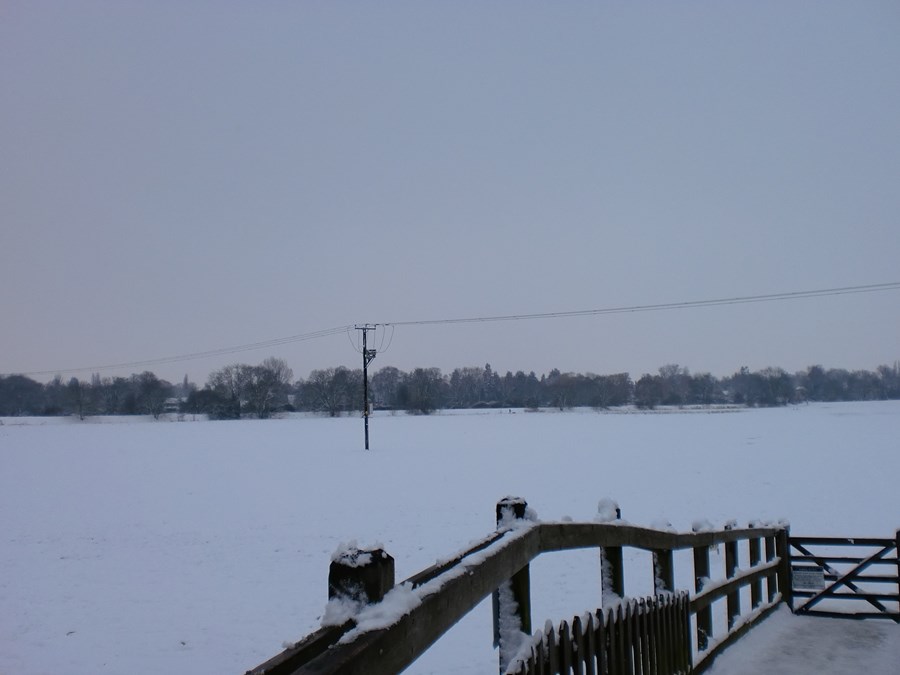 Meadows in snow