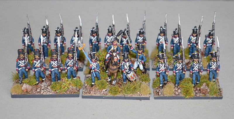 Polish Napoleonic 15mm