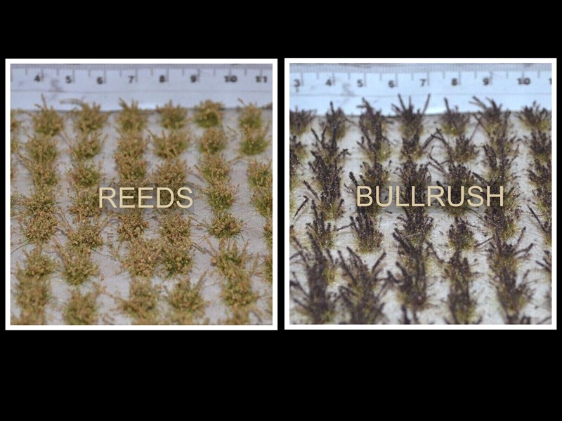 Wetland plants (TM39)