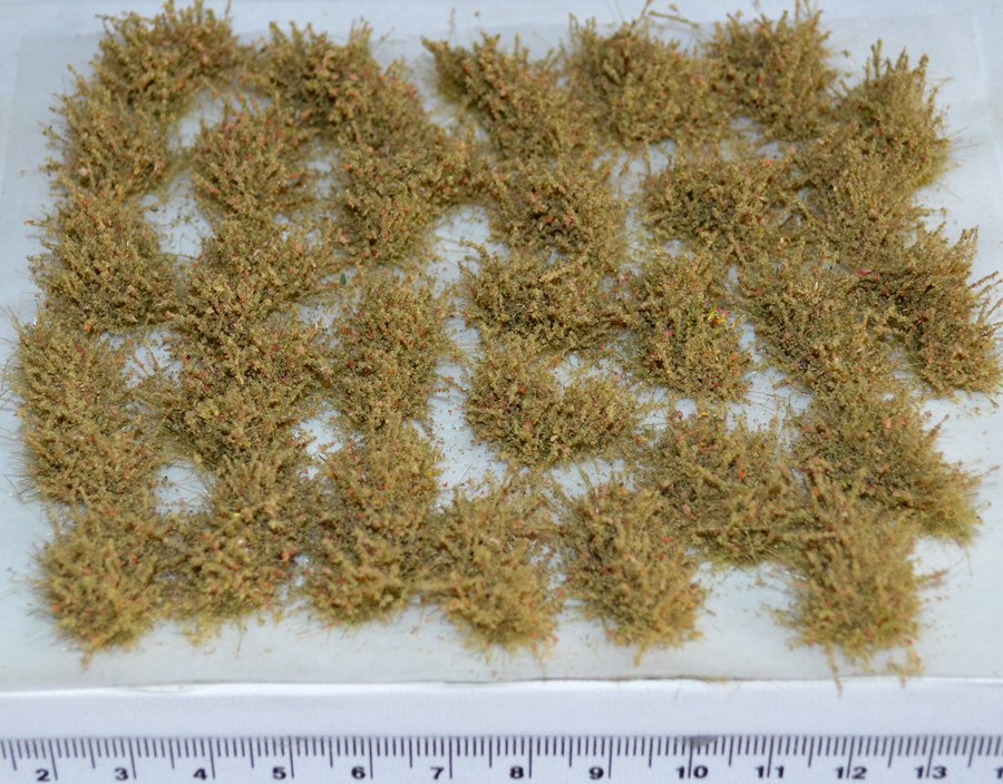Desert bushes (TM21)