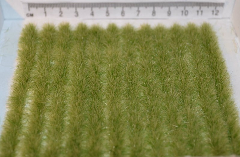 10cm Static Grass Strips   Self Adhesive (TM4)