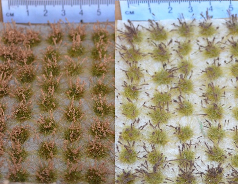 Wetland plants (TM39)