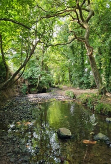 Bridges walk in Stratton