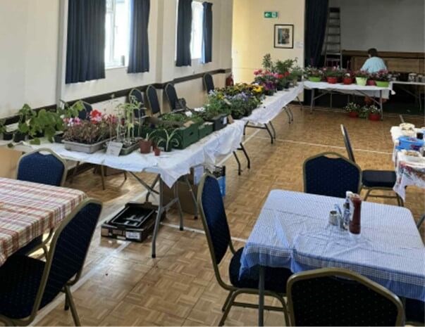 Plants on tables