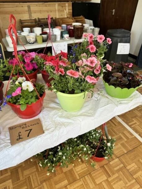 Plants on tables